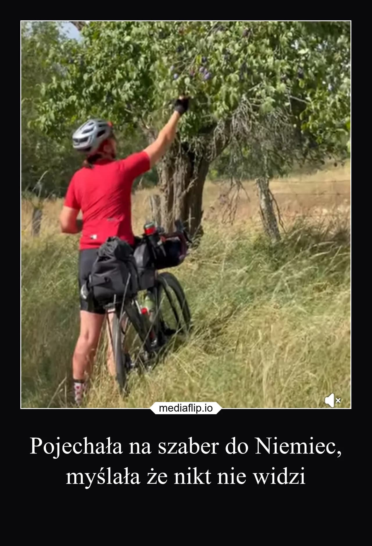mediaflip.io - Pojechała na szaber do Niemiec, myślała że nikt nie widzi