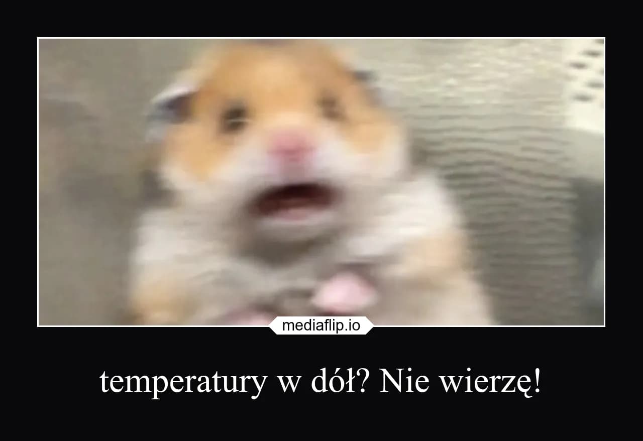 mediaflip.io - temperatury w dół? Nie wierzę!