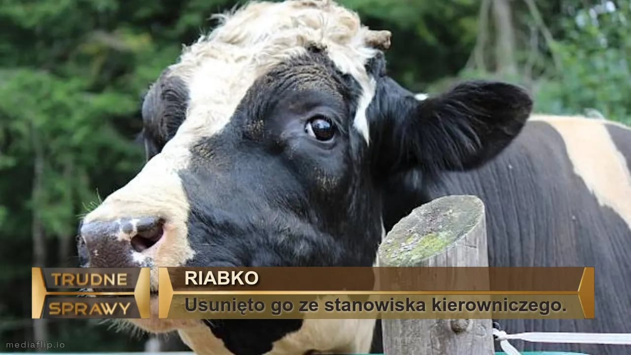 Riabko
Usunięto go ze stanowiska kierowniczego.