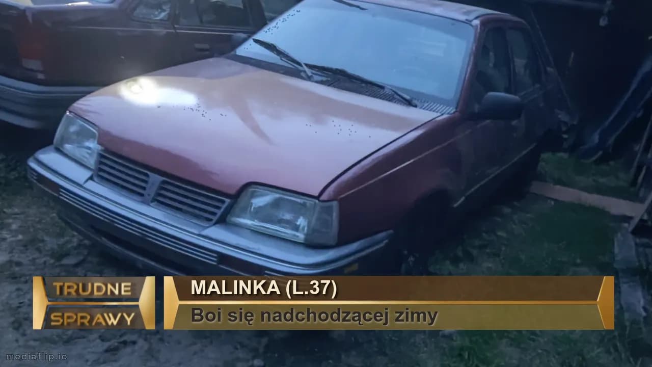Malinka (l.37)
Boi się nadchodzącej zimy 