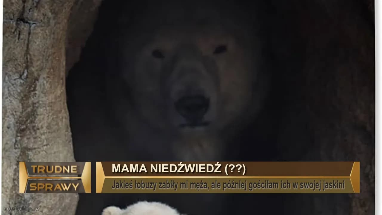 Mama niedźwiedź (??)
Jakieś łobuzy zabiły mi męża, ale później gościłam ich w swojej jaskini