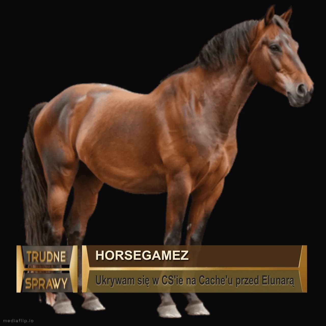 HORSEGAMEZ
Ukrywam się w CS'ie na Cache'u przed Elunarą