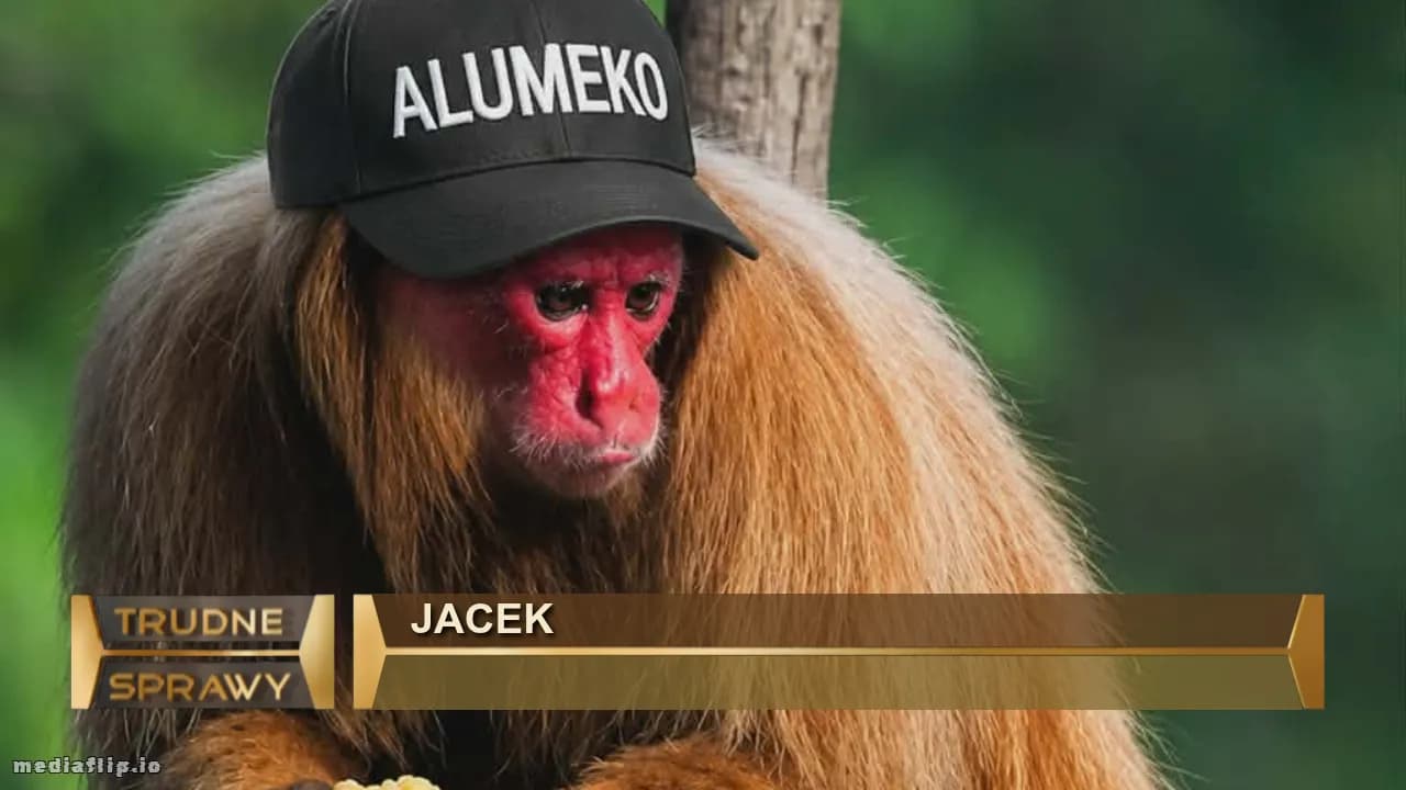 Jacek