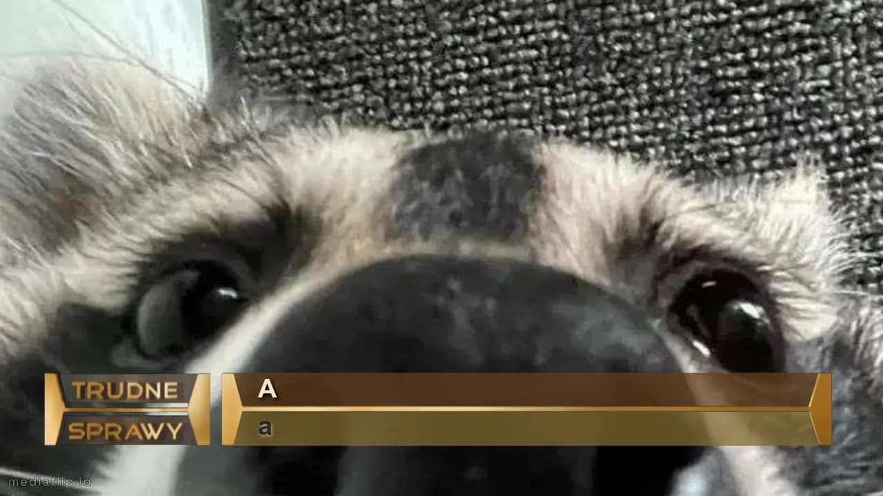 a
a