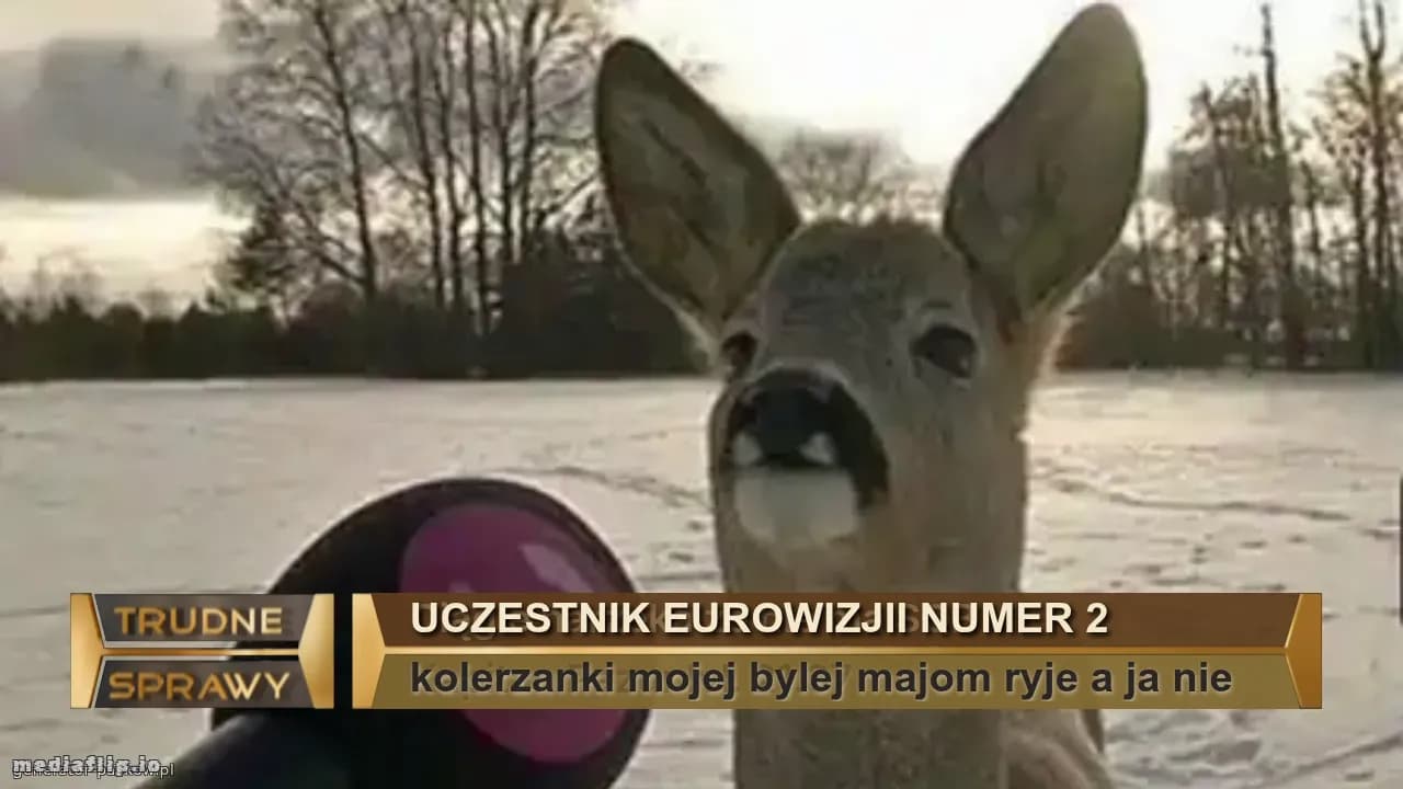 Uczestnik Eurowizjii numer 2
kolerzanki mojej bylej majom ryje a ja nie