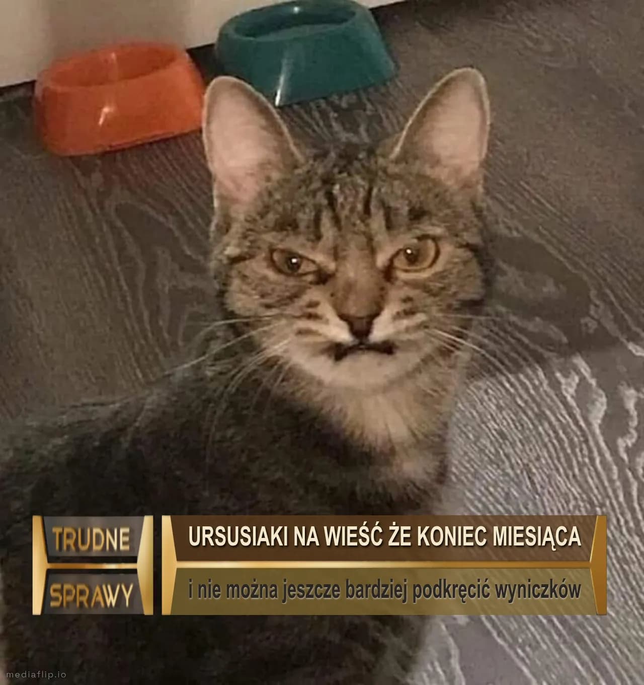Ursusiaki na wieść że koniec miesiąca
i nie można jeszcze bardziej podkręcić wyniczków