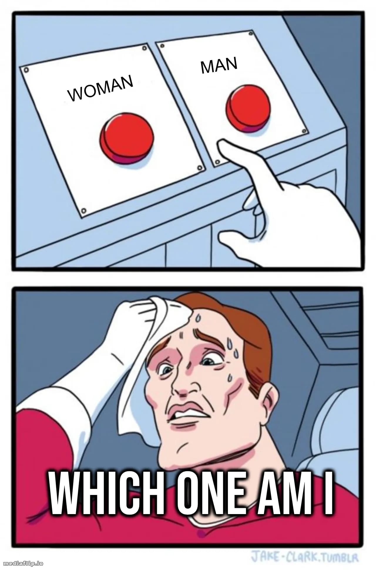 WOMAN - MAN - WHICH ONE AM I