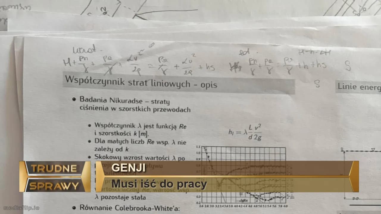 Genji
Musi iść do pracy