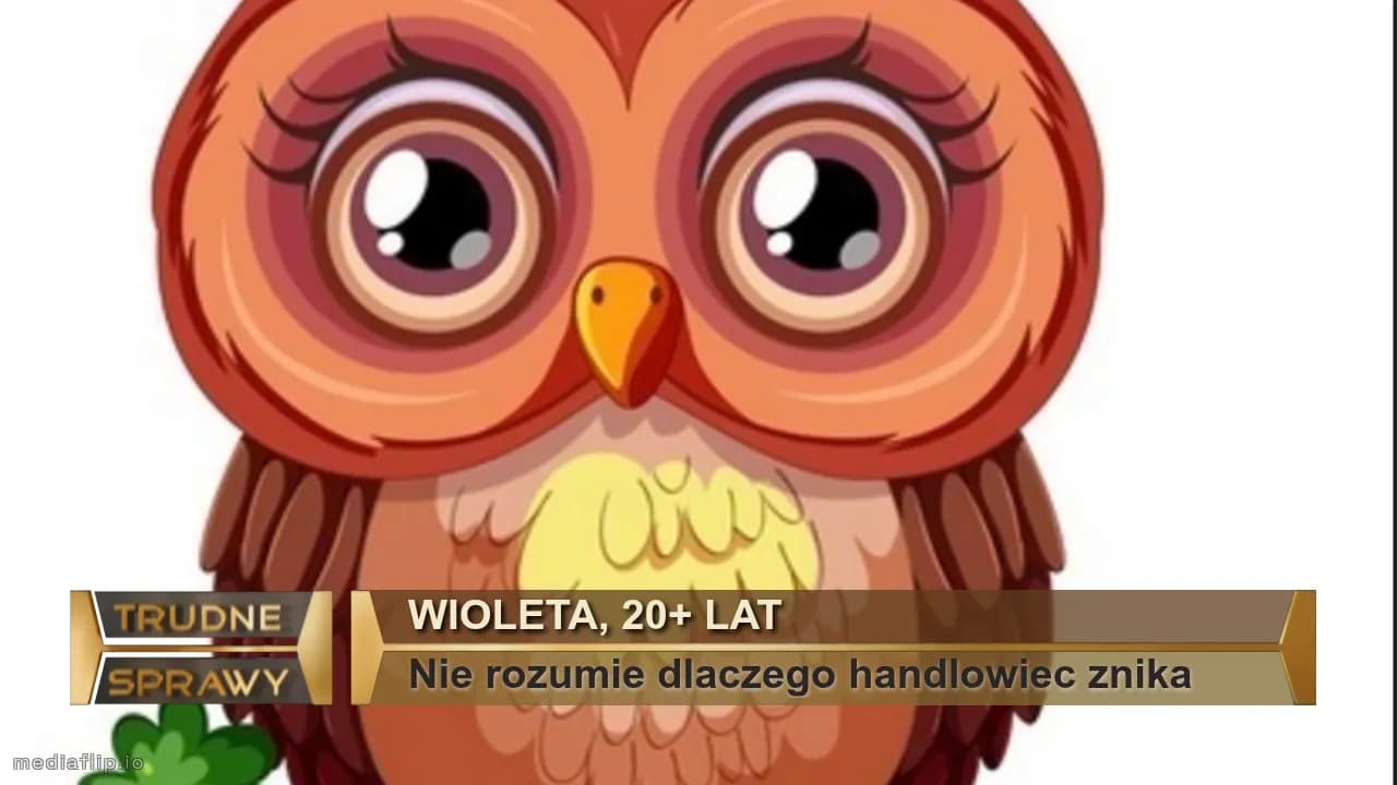 Wioleta, 20+ lat
Nie rozumie dlaczego handlowiec znika