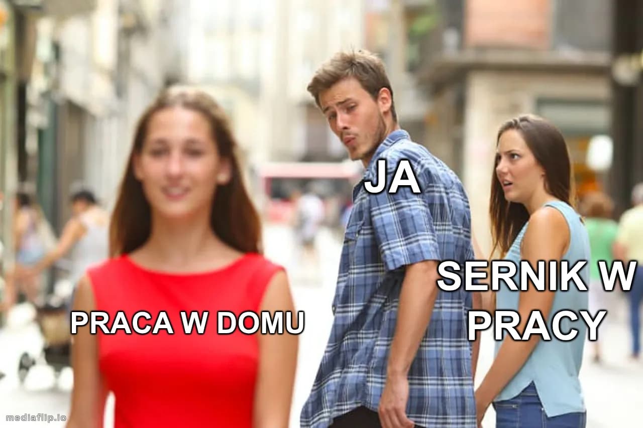 JA - SERNIK W PRACY - PRACA W DOMU