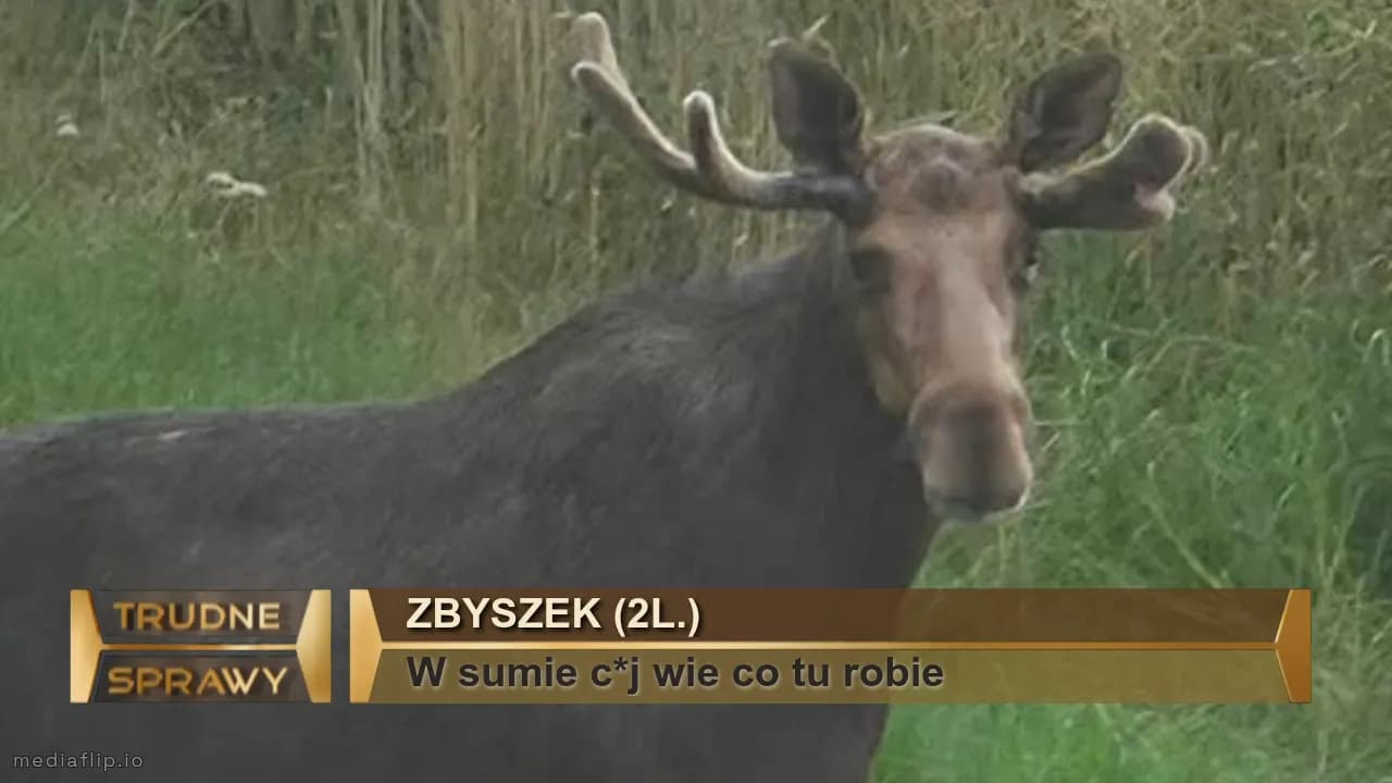 Zbyszek (2l.)
W sumie c*j wie co tu robie