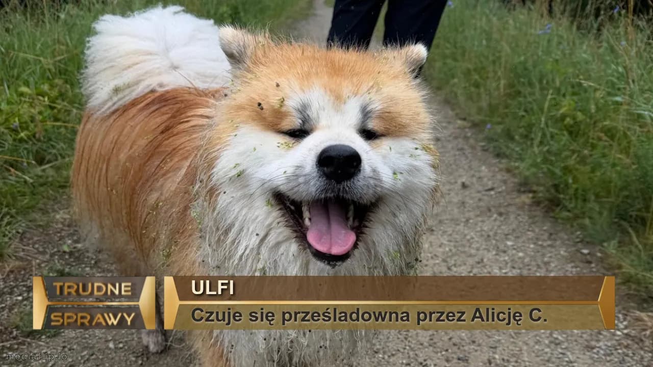 Ulfi
Czuje się prześladowna przez Alicję C.