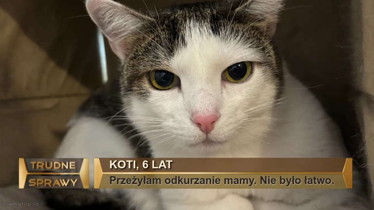 Koti, 6 lat
Przeżyłam odkurzanie mamy. Nie było łatwo. 