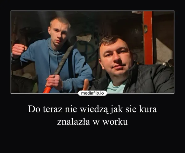 mediaflip.io - Do teraz nie wiedzą jak sie kura znalazła w worku
